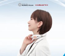 <b>HUAWEILHiLin凯胜N1颈部按摩仪</b>